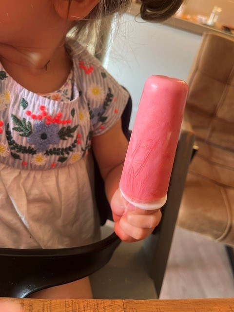 Yoghurt fruit ijsjes